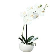Orchide factice 1 hampe coupe cramique H40cm touch rel Blanc neige