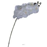 Branche de fausse orchidée pour décoration L 100 cm Blanc 