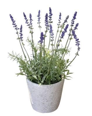 Lavande decorative artificielle superbe de realisme H 36 cm D 20 cm