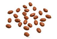 25 cacahuètes artificielles décoration réaliste fausse nourriture