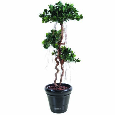 Ficus Panda sur tronc deforme H 140 cm 1812 feuilles artificiel