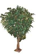 Ficus Benjamina Geant artificiel H 350 cm L 220 cm 9280 feuilles sur platine