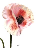 Pavot artificiel H 60 cm 1 fleur et 1 bouton Superbe fleur Rose - BEST