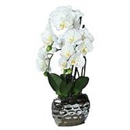 Orchidee artificielle 3 hampes en pot ceramique Argent H 55 cm Crme
