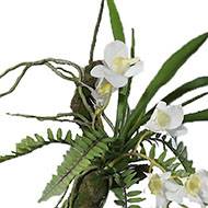 Orchidée Dendrobium factice Latex sur branche à suspendre L50cm Crème