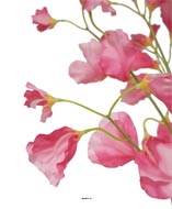 Pois de senteur fleur artificielle en 3 branches H 50 cm Rose fushia