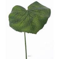 Feuille de galax artificielle D 20 cm vert H 50 cm