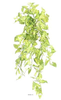 Chute de syngonium artificiel H 80 cm Vert