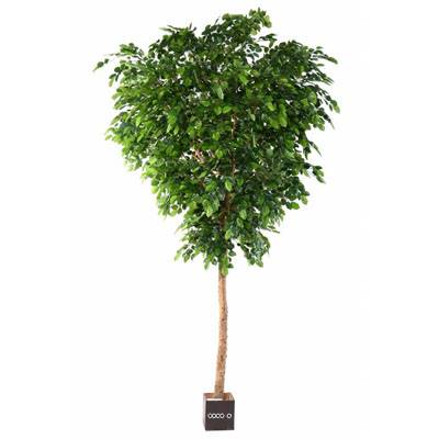 Hêtre Arbre Artificiel H 400 cm Tronc bois en pot