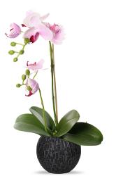 Orchidee artificielle 2 hampes en pot H 40 cm touché réel Rose-crème