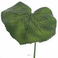 Feuille de galax artificielle D 20 cm vert H 50 cm