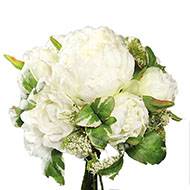 Bouquet de Pivoines et Carottes sauvages factices 7 fleurs H20cm Crme