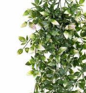 Chute de tradescantia artificiel H 85 cm Vert/Rose