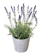 Lavande decorative artificielle superbe de realisme H 36 cm D 20 cm