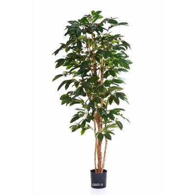 Cafeier artificiel H 120 cm 329 feuilles fleurs et grains en pot