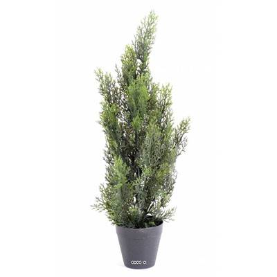 Cyprès artificiel en pot anti-UV pour extérieur  H 60 cm Vert