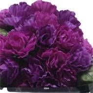 Bac carré fleurs artificielles œillets Pourpre pour la Toussaint