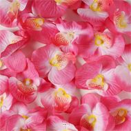 ttes d'orchidees X 20 Rose Tendre en sachet D 6 cm