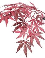 Branche Acer Erable factice 70cm 36 feuilles Bourgogne FEU RETARDANT