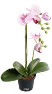 Orchidee artificielle 2 hampes en pot H 40 cm touch rel Rose-crme