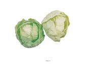 Laitue salade artificielle verte X 2 en Plastique soufflé D 100 mm