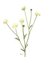 Centaurée artificielle, 3 ramures, H 64 cm Crème - BEST