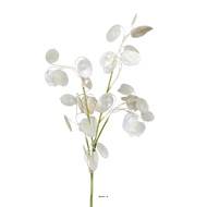 Branche de la monnaie du pape artificielle H 65 cm