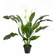 Spatiphyllum artificiel en pot anti-Uv extrieur H 90 cm 4 fleurs