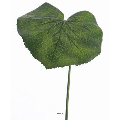 Feuille de galax artificielle D 20 cm vert H 50 cm