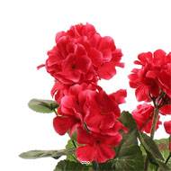 Pot de géranium artificiel, 5 têtes, H 31 cm, D 17 cm Rose beauty