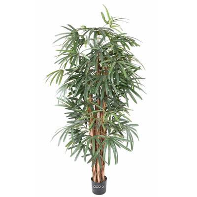 Palmier Raphis Artificiel H 150 cm D 60 cm en pot
