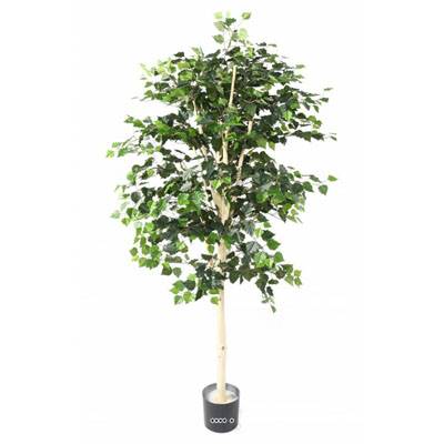 Bouleau artificiel en pot, H 170 cm, D 80 cm, feuillage vert