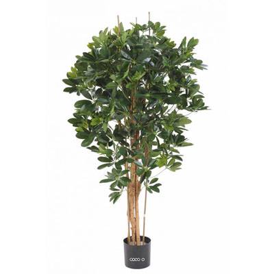 Superbe schefflera artificiel en pot multitroncs vert H 150 cm Vert