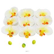 Têtes fleurons Orchidée Phalaenopsis factices x9 avec 3 boutons Crème