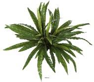 Fougre Asplenum 55 feuilles H 60 cm artificiel en piquet