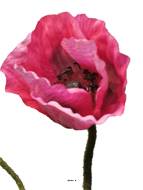 Pavot factice H60cm 1 fleur & 1 bouton jolie fleur Rose fushia - BEST