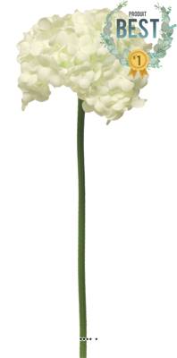 Fleurs de Viorne artificielles en tige, H 30 cm Crème - BEST