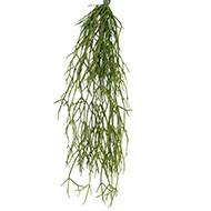 Chute de cactus rhipsalis artificiel L 60 cm l 20 cm