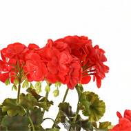 Geranium artificiel en piquet H 38 cm 6 tetes plastique anti UV exterieur Rouge