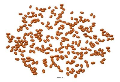 20 grammes Grains de Blé Artificiels : Décoration Factice pour scènes champêtres