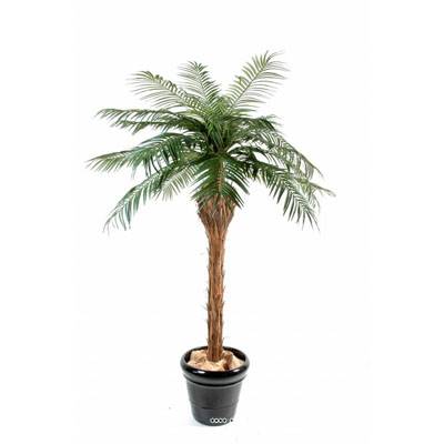 Palmier Phoenix artificiel finition Luxe H 150 cm très belle tête