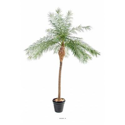 Palmier Phoenix Artificiel H 190 cm D 150 cm en pot