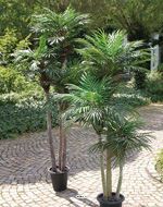 Palmier Phoenix Artificiel 3 troncs en pot H 150 cm