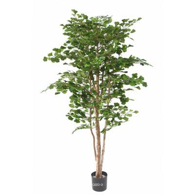 Gingko Artificiel Troncs bois naturels  H 180 cm D 110 cm en pot