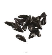 Moules artificielles assorties X 24 en Plastique soufflé L 70-90 mm
