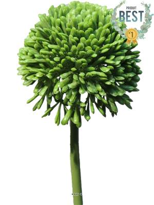 Allium artificiel en tige H 45 cm Vert - BEST