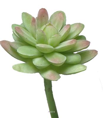 Echeveria elegans factice en piquet, H16cm, D12cm, Vert-rouge - BEST