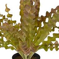 Fougère asplenium artificielle plastique en pot H 34 cm D 48 cm Crème vert