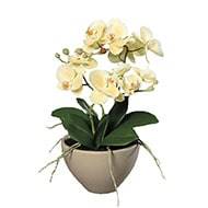 Fausse orchide en pot cramique H 35 cm adorable Crme vert