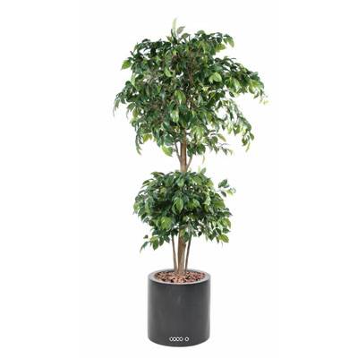 Ficus artificiel double boule H 150 cm Vert en pot